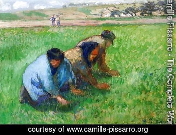 Camille Pissarro - Weeders