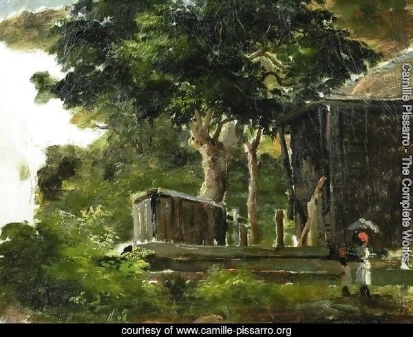 Landscape with House in the Woods in Saint Thomas, Antilles