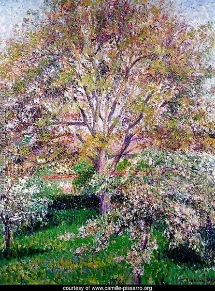 Walnut and Apple Trees in Bloom, Eragny