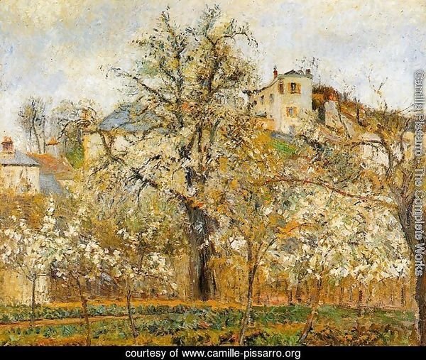Kitchen Garden witih Trees in Flower Spring Pontoise  1877