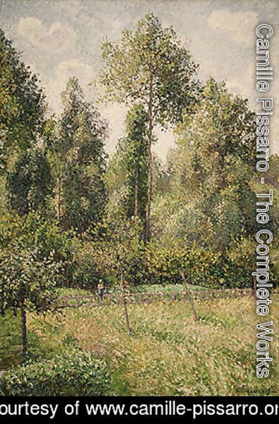 Poplars Eragny 1895