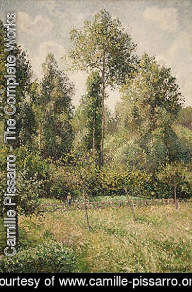Camille Pissarro - Poplars Eragny 1895