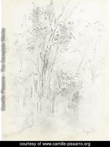 A forest with a seated figure in the foreground
