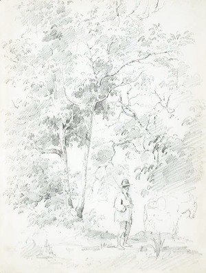 A man with a donkey in a forest