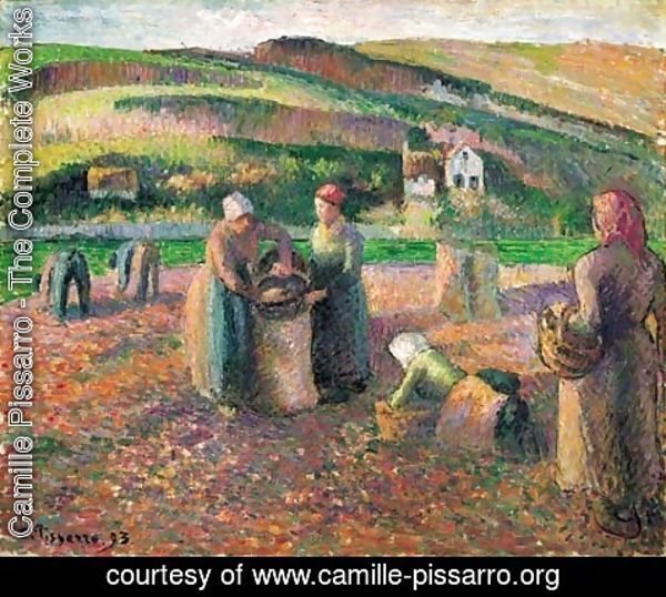 Camille Pissarro - La Recolte des Pommes de Terre