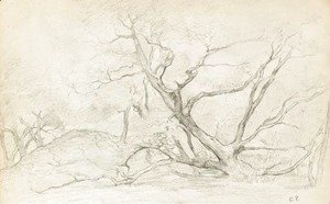 Camille Pissarro - Les arbres