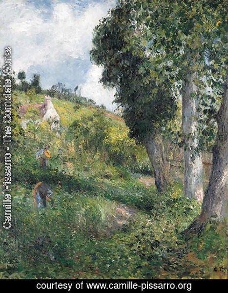 Camille Pissarro - Paysage 'au chou', pres pontoise