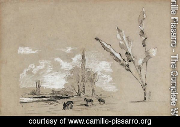 Camille Pissarro - Paysage