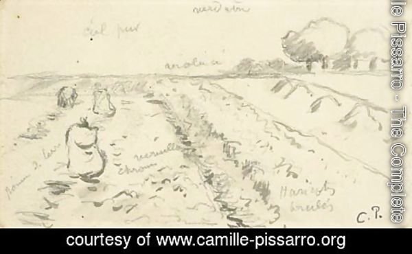 Camille Pissarro - Paysage 3