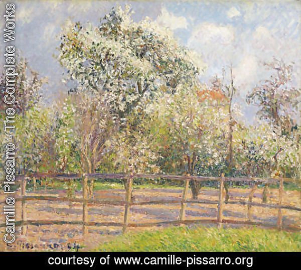 Camille Pissarro - Poiriers en fleur, Eragny