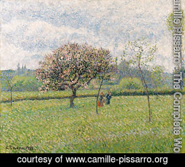 Camille Pissarro - Pommier en fleurs  Eragny