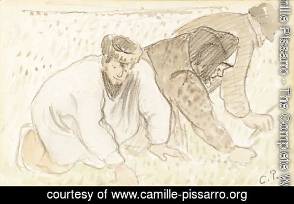 Camille Pissarro - Ramasseurs de pissenlits