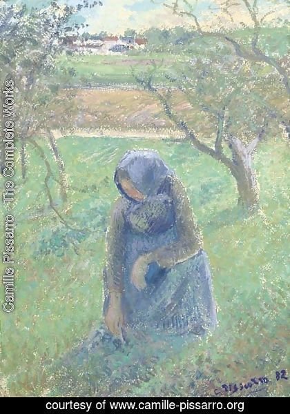 Camille Pissarro - Ramasseuse d'herbe