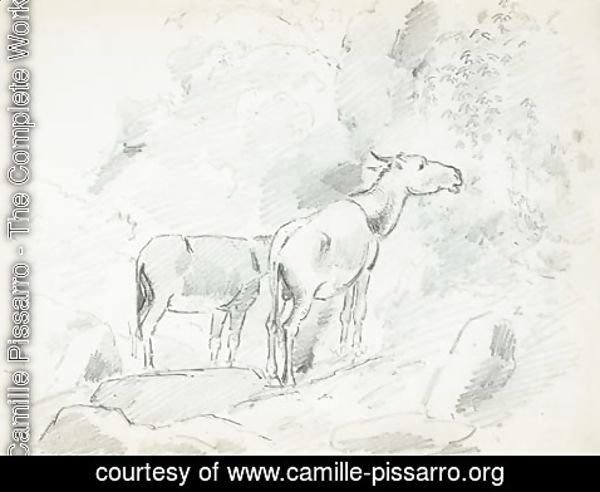 Camille Pissarro - Two donkeys grazing in the mountains