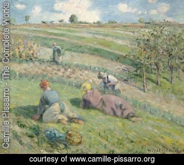 Camille Pissarro - Sarcleurs Dans Les Champs, Pontoise