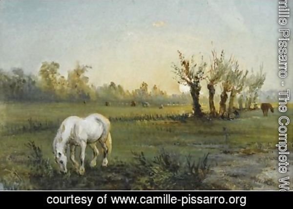 Camille Pissarro - Cheval Blanc Dans Un Pre