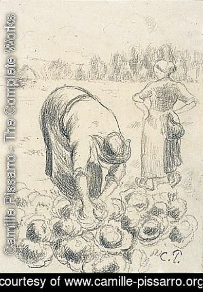 Camille Pissarro - Femme Cueillant Des Choux