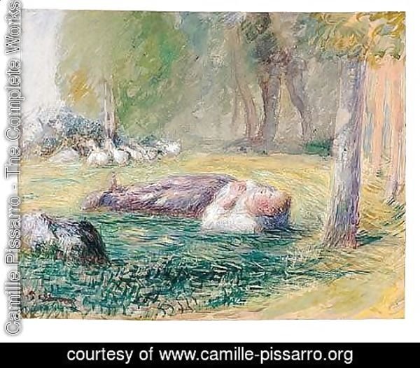 Camille Pissarro - Gardeuse D'Oies Allongee