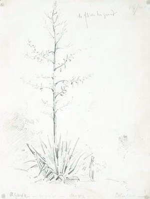 Camille Pissarro - An agave tree in Caracas