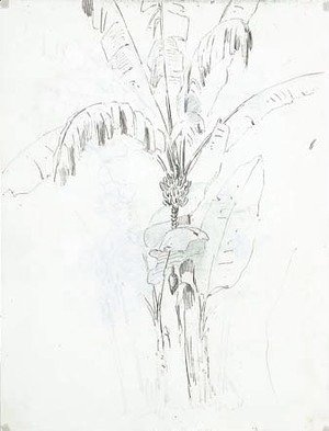 Camille Pissarro - A palm tree