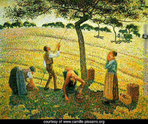 Apple harvest in Eragny