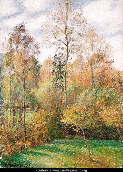 Autumn, Poplars
