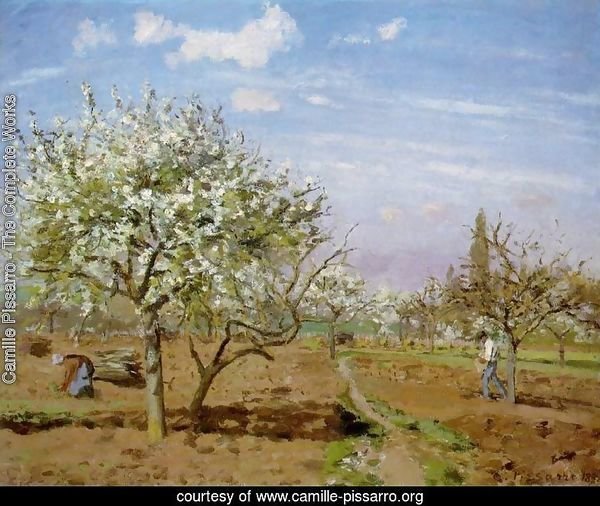 Orchard In Bloom At Louveciennes